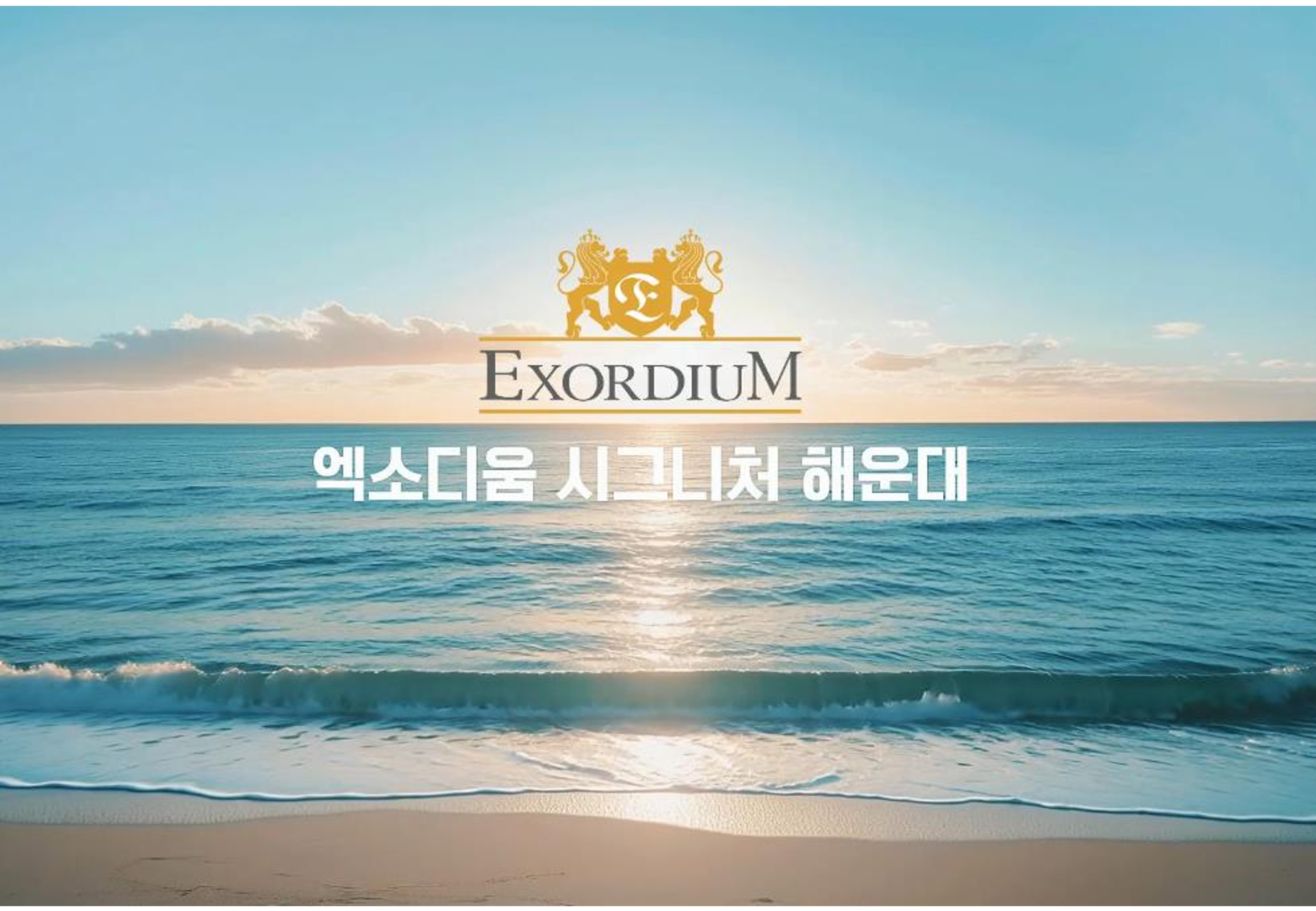 갤러리 이미지 1